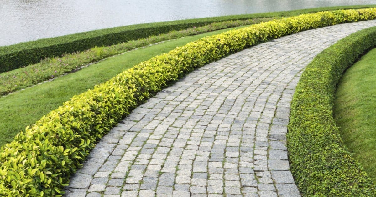 pourquoi choisir des pavés en pierre pour son allée